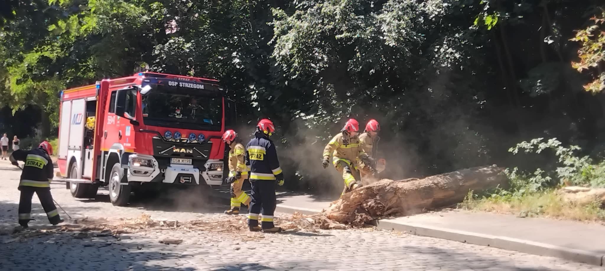 Konar drzewa runął na chodnik przy ulicy Kolejowej [FOTO] 
